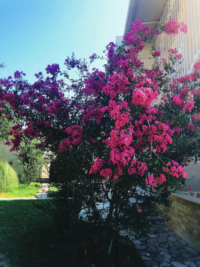Vila Jovana Сутоморе Екстериор снимка